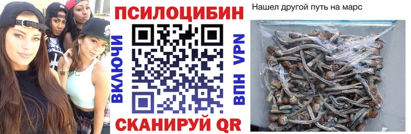 Купить закладки  Кольчугино  Галлюциногенные грибы мицелий 