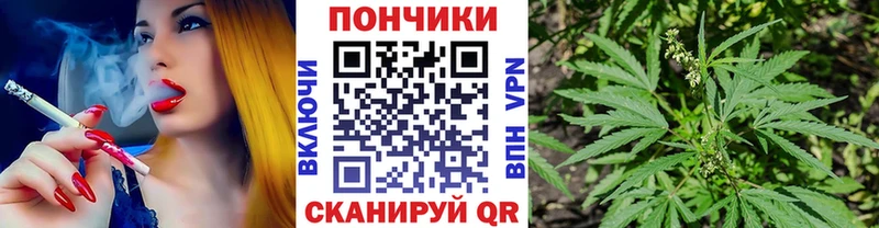 Купить закладки  Кольчугино  Канабис сатива 